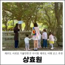 블로그제작&활용반 | 제주도 서귀포 가볼만한곳 아이랑 제주도 여행 코스 추천 상효원