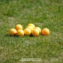 고궁스포츠클럽 이미지