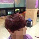 늘한결 | 요즘 뜨고 있는 레드와인 컬러 인천 용현동 미용실 제니헤어 시술후기입니다!!!