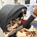 세종충남대학교병원버스정류장 | 신생아 딤플 검사 후기 | 세종충남대학교병원 초음파로 확인한 토르의 이야기