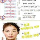 화이트기획 이미지