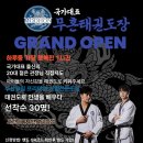 국가대표 무혼 태권도장 이미지