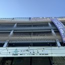 우일애견 | [온더플로우]영종도 애견동반 식당, 구읍뱃터 애견동반 식당, 파스타, 브런치,카페 추천