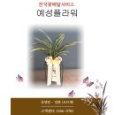 일향플라워 이미지