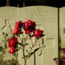 대운사지 이미지