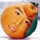 네끼니 Daum카페