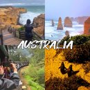 (주)필립 | 호주 멜버른여행 그레이트오션로드 퍼핑빌리 필립아일랜드 투어 코스