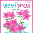 동양콘도미니엄 | [충남/축제]2026년 4월 아산 영인산 철쭉제 2026 총정리｜프로그램·주차·날씨·맛집까지