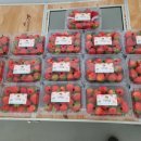 정철농장 이미지