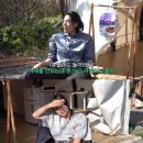 백지영 카카오 검색결과