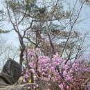 봄날 마니산 산행 이미지