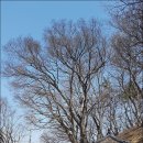 경천중학교 이미지