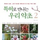 특허로 만나는 우리 약초 이미지