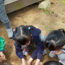 조하유치원 이미지