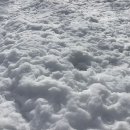 자연농장 이미지