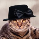 스마일애견 이미지