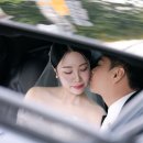 [비아잔떼] 더라움 그라스가든 본식스냅 촬영 후기