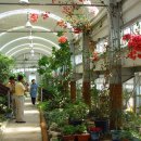 거제도애광원 이미지