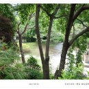 중앙공원 주변 이미지
