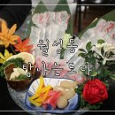 탐나는도다월성 이미지