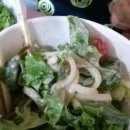 이레네 강아지 이미지