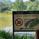 운암지수변공원 이미지