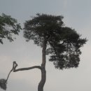 풍기소백산약국 이미지