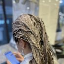찰스헤어두 - 전주시 완산구 | 찰스헤어두