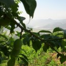 혁이네 농장 이미지