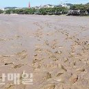 십리대밭축구장 이미지