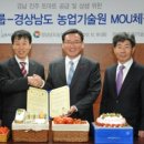 파리바게트상무