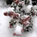 봄소아청소년과의원 이미지