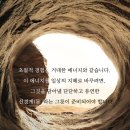 하늘의 깨달음이 땅의 숨결을 만날 때: 자아초월과 소매틱의 최종 통합 이미지
