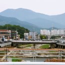 구사마을 이미지