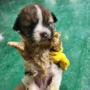 GS25홍대은하점 이미지