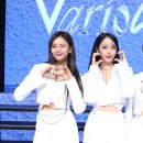 베리어스(various) 이미지