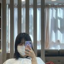 리끌림 | 붙임머리 리끌림 한 후기💛