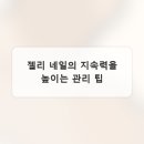 젤리네일 - 무안군 | 젤리네일
