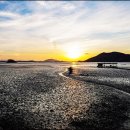 2025 세계유산축전-선암사·순천갯벌 네이버블로그
