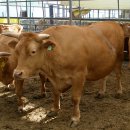 새봄농장(2) 이미지