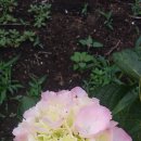 준이농장 이미지