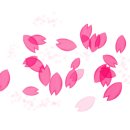 황태명가 이미지