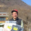 어남약쑥 이미지