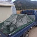 마차고등학교 | 대추 방울 토마토 형상 선별기 설치 후기입니다.