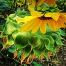 제일부동산중개 이미지