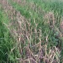 해진농장 이미지