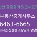 종합부동산중개사무소 이미지