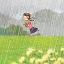 지혜의 소나기 이미지