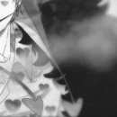 로시난테 이미지