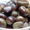 개미농장 이미지